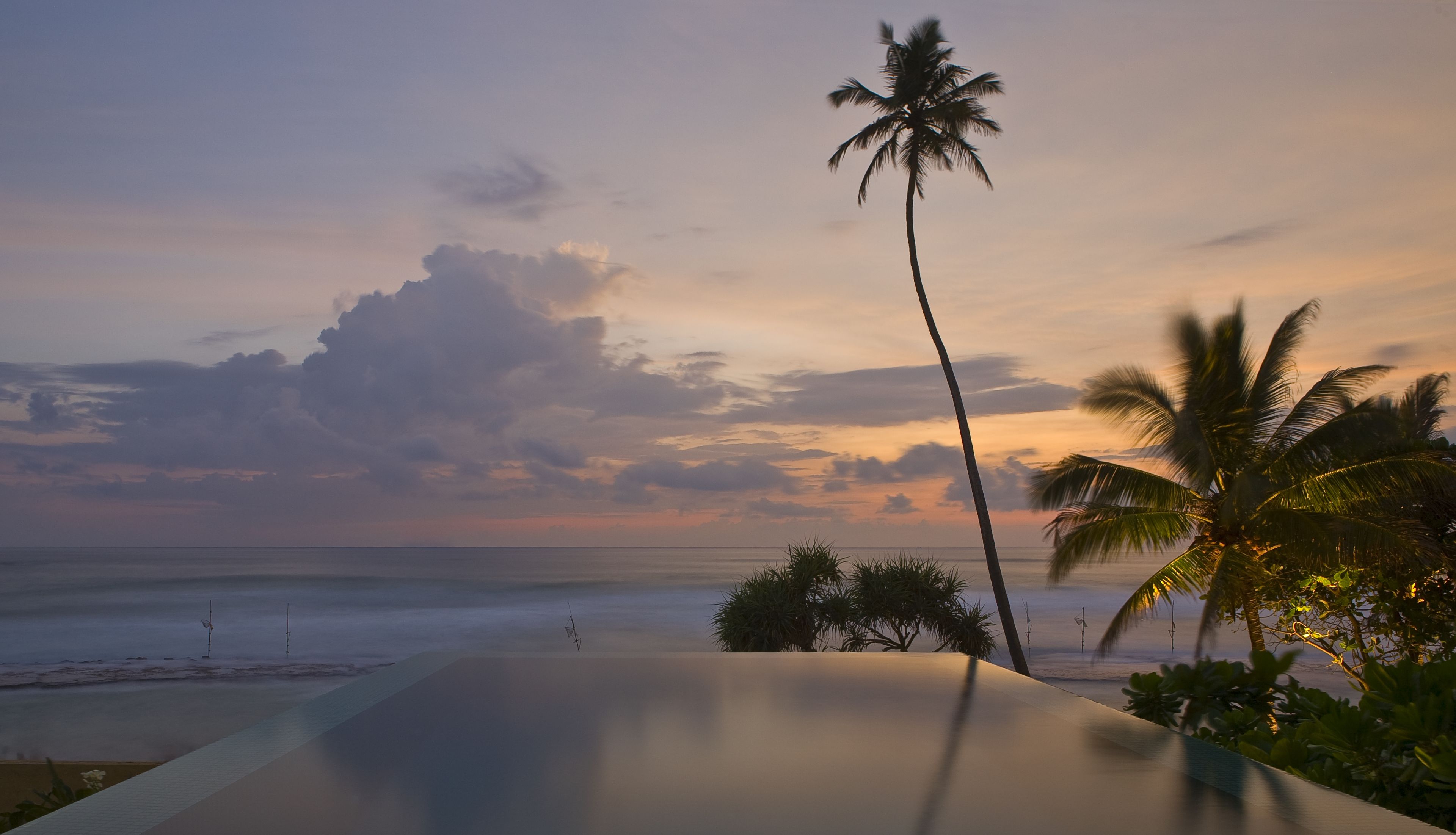 Vista de playa con una palmera y cielo despejado.