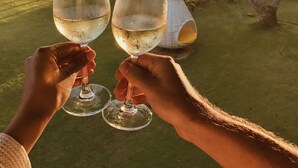 Two people holding wine glasses with a view of the ocean and trees in the background. - The Fortress Resort & Spa Galle (Koggala)