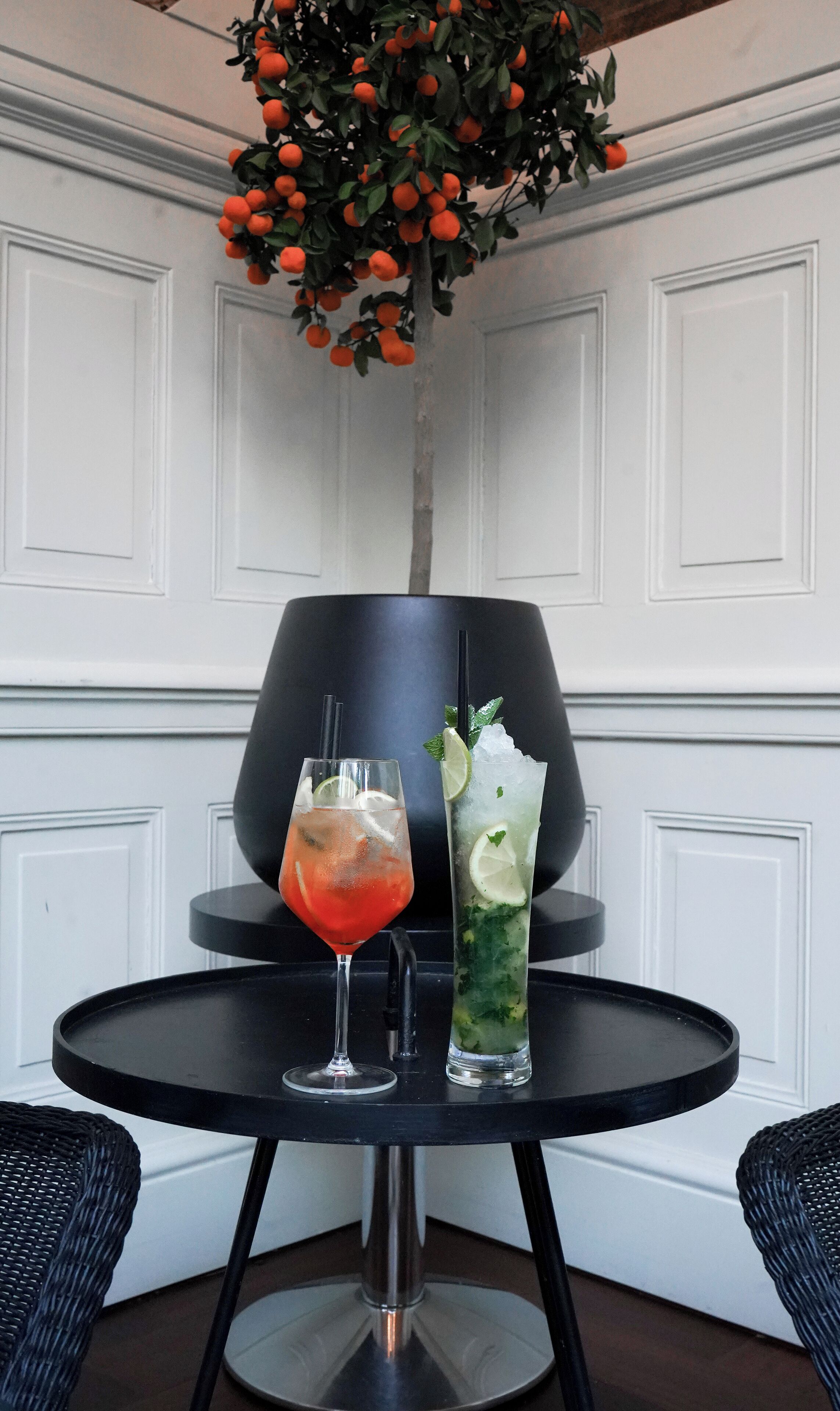 Una mesa con dos bebidas, un cóctel rojo y un cóctel verde, y una planta en maceta con frutos naranjas.