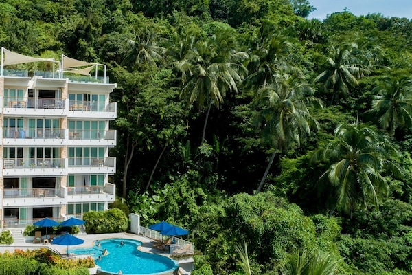 Outdoor pool, pool umbrellas, pool loungers