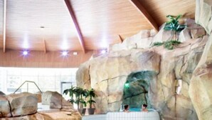 A large indoor pool with a natural rock wall, a wooden ceiling, and potted plants.