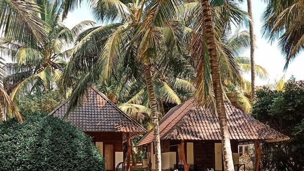Ảnh chưa phân loại, 1 trong số 52 ảnh, nút