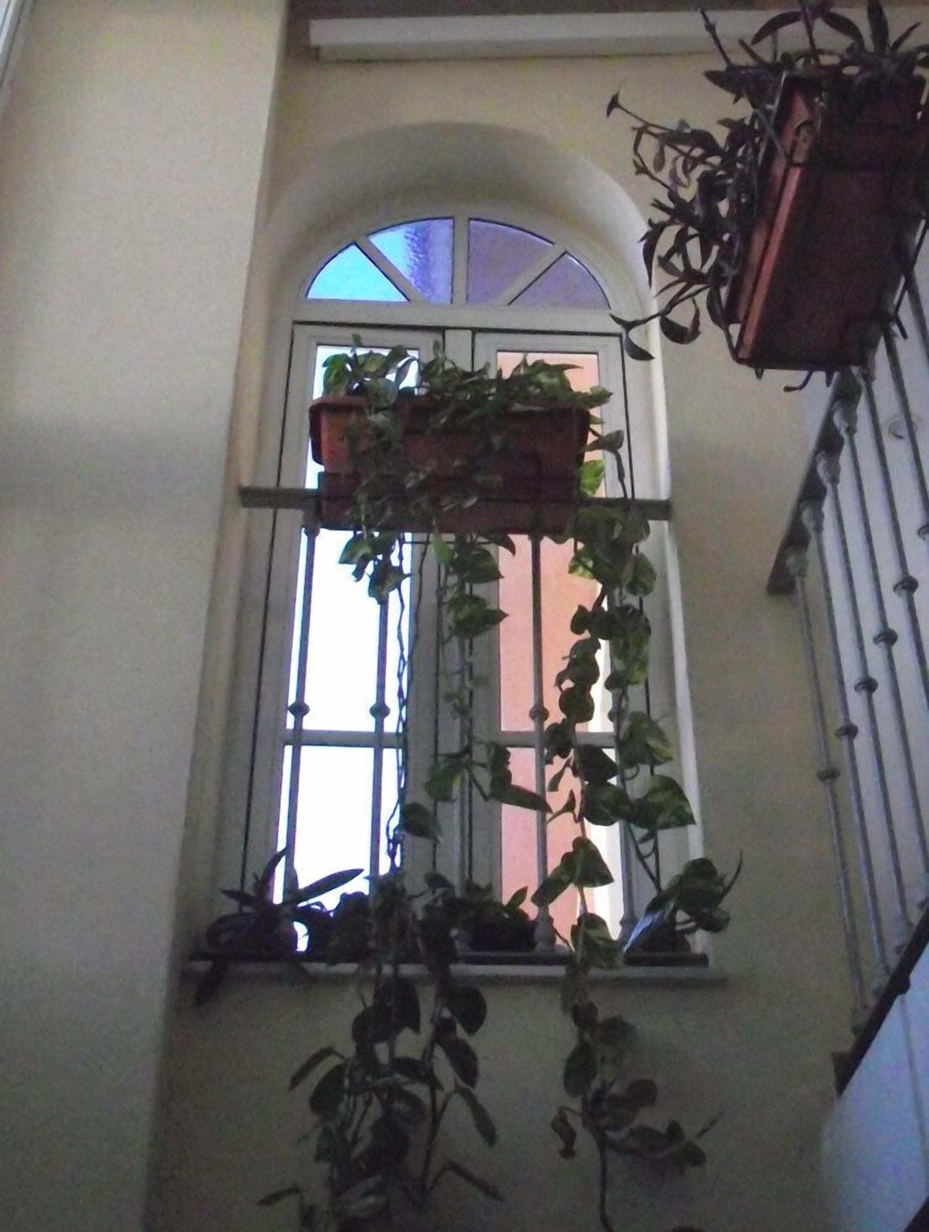 Foto - Hostal Italia