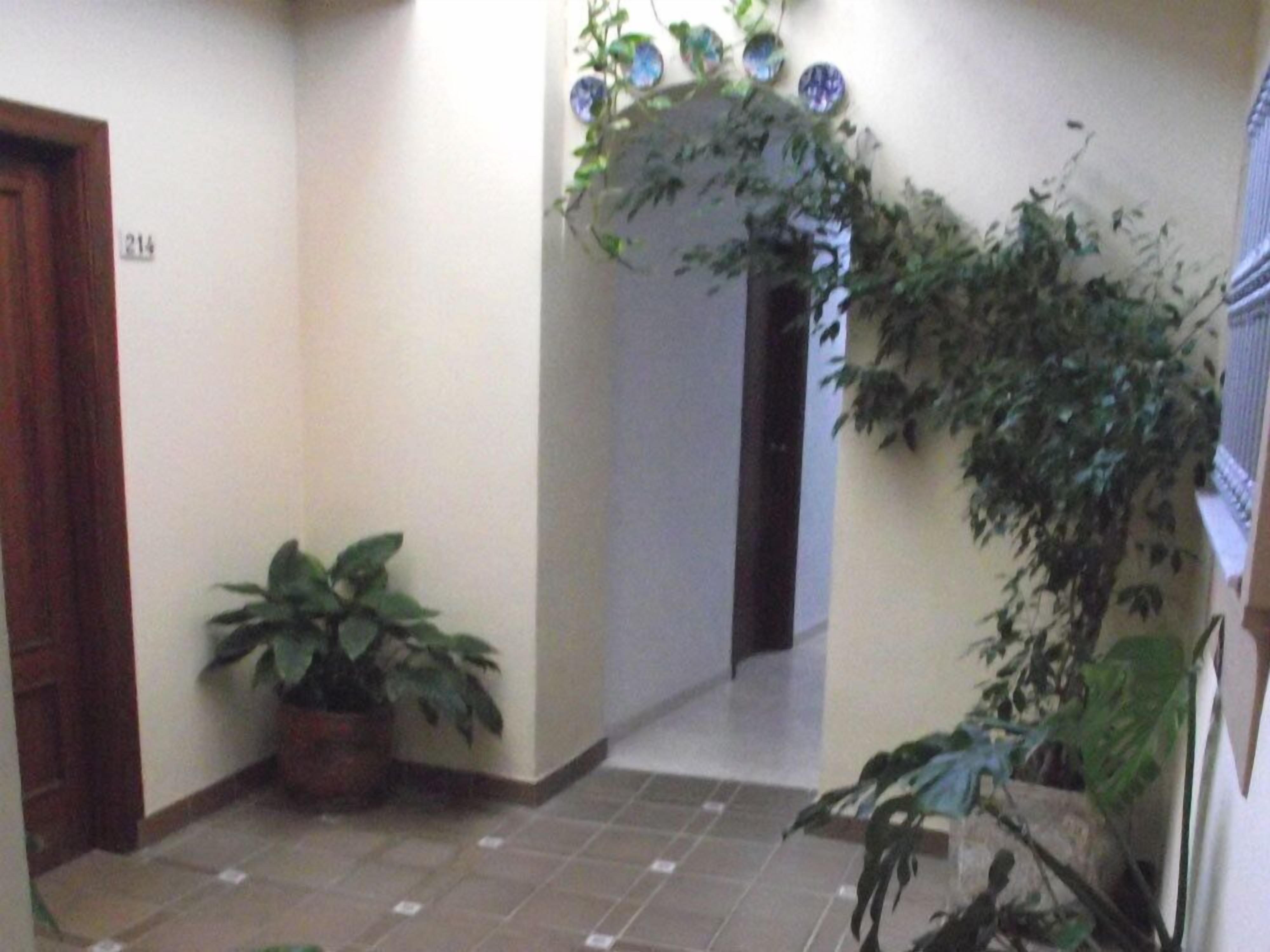 Foto - Hostal Italia