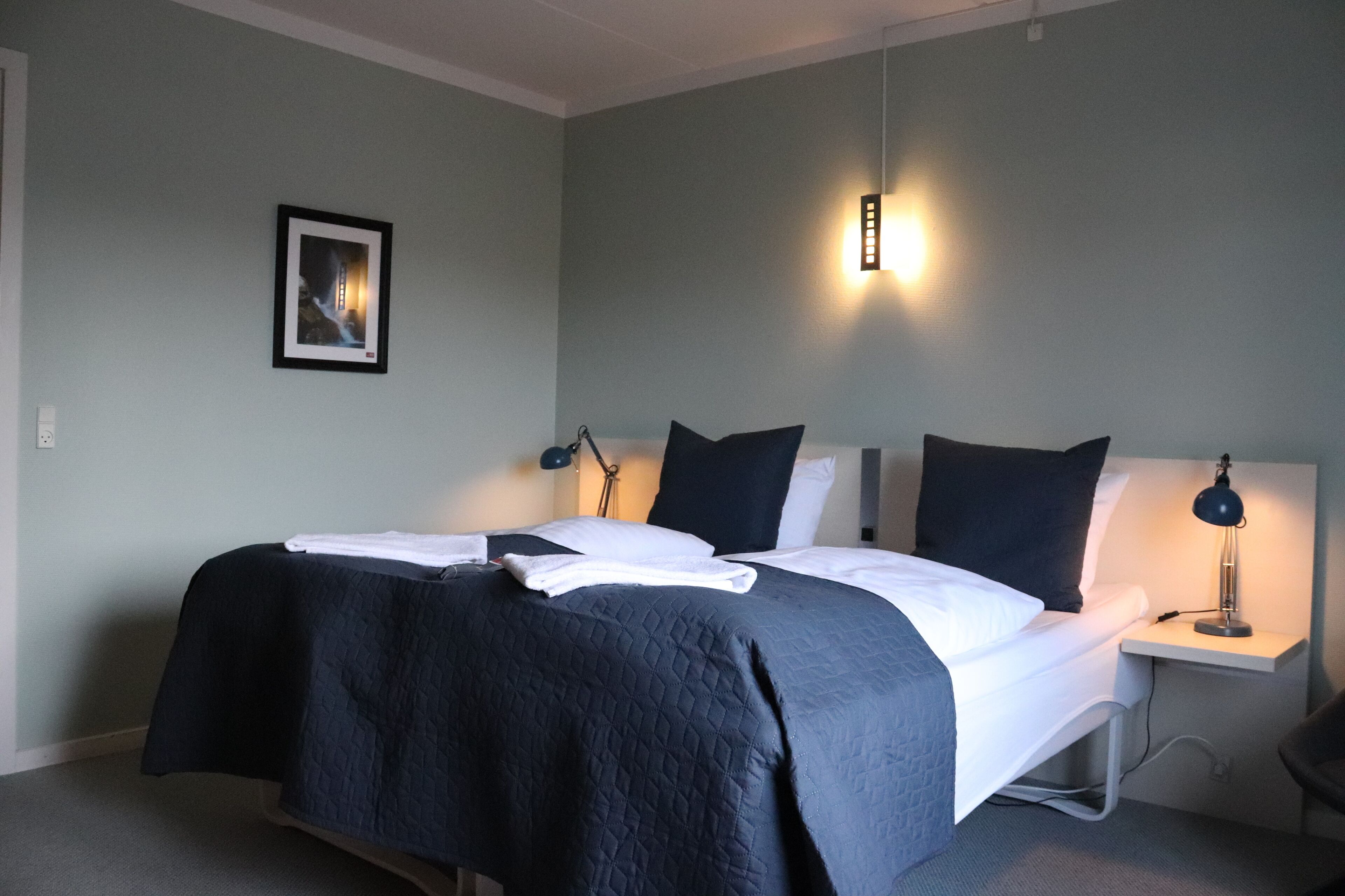 A double bed with dark bedding, a bedside table with a lamp, and a framed picture on the wall.