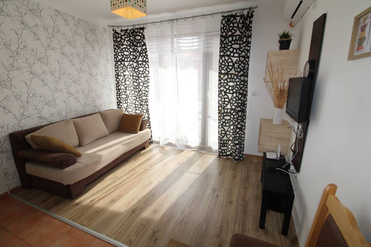 A living room with a sofa, curtains, a TV, and a small table with a plant.