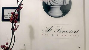 Eine Wand mit einem gerahmten Kunstwerk, das eine klassische Büste zeigt, einer Plakette mit einem Pass und einem Schild für 'Ai Senatori Bed & breakfast'.