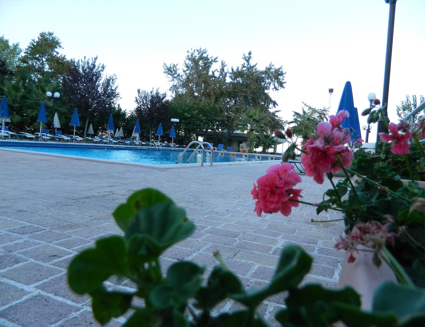 Pool