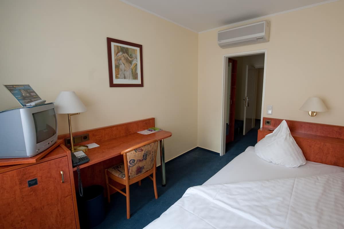 Single Room | Minibar, in-room safe, desk, WiFi (free)