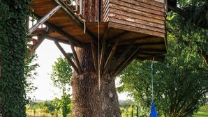 A treehouse built on a large tree with a wooden platform and stairs. - Belvivere Suites (Sona)