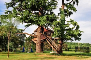 Terrein van de accommodatie