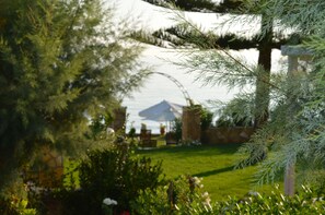 Property grounds - Stefania Apartments (Zakynthos)