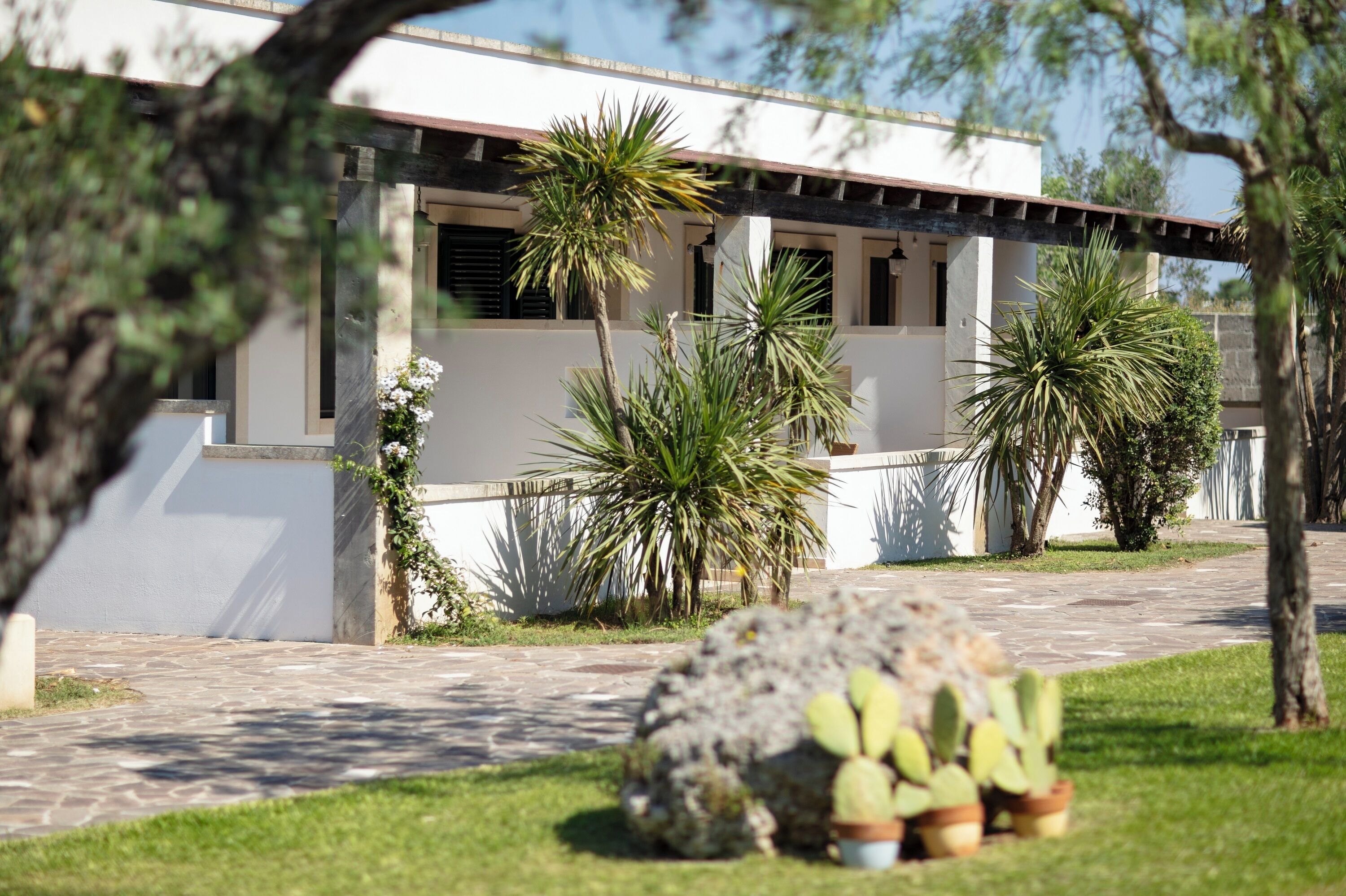 Un edificio moderno con un viale in pietra che conduce a un ingresso coperto, circondato da palme e cactus.