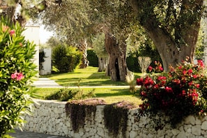 Jardin