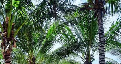 Saigon Emerald Resort