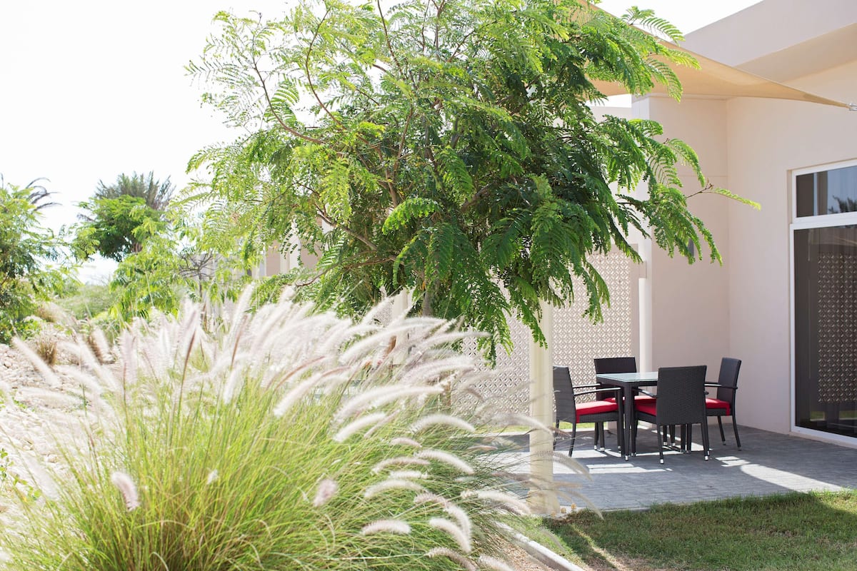Vue sur le jardin
