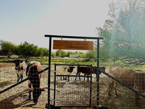 Front of property - Malana Hotels & Suites (Cotulla)