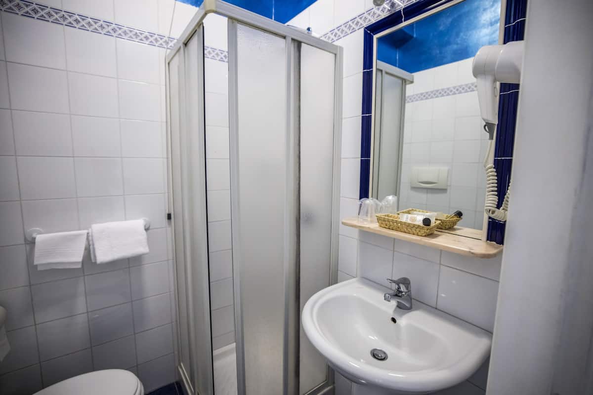 economy single room | 1 bedroom, down duvets, minibar, desk