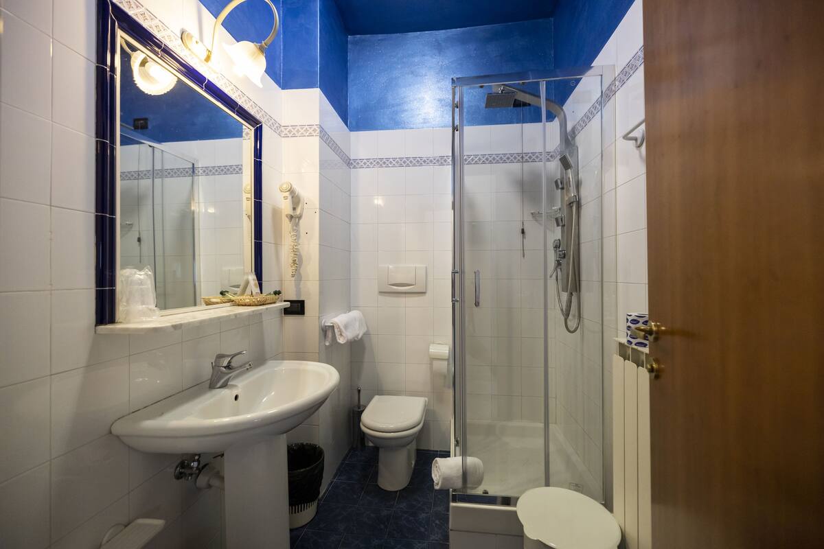 shower, rainfall showerhead, free toiletries, hair dryer