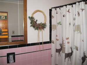 Comfort Double Room | Bathroom | Hair dryer, towels - Mountain Brook Lodge (Wilmington)