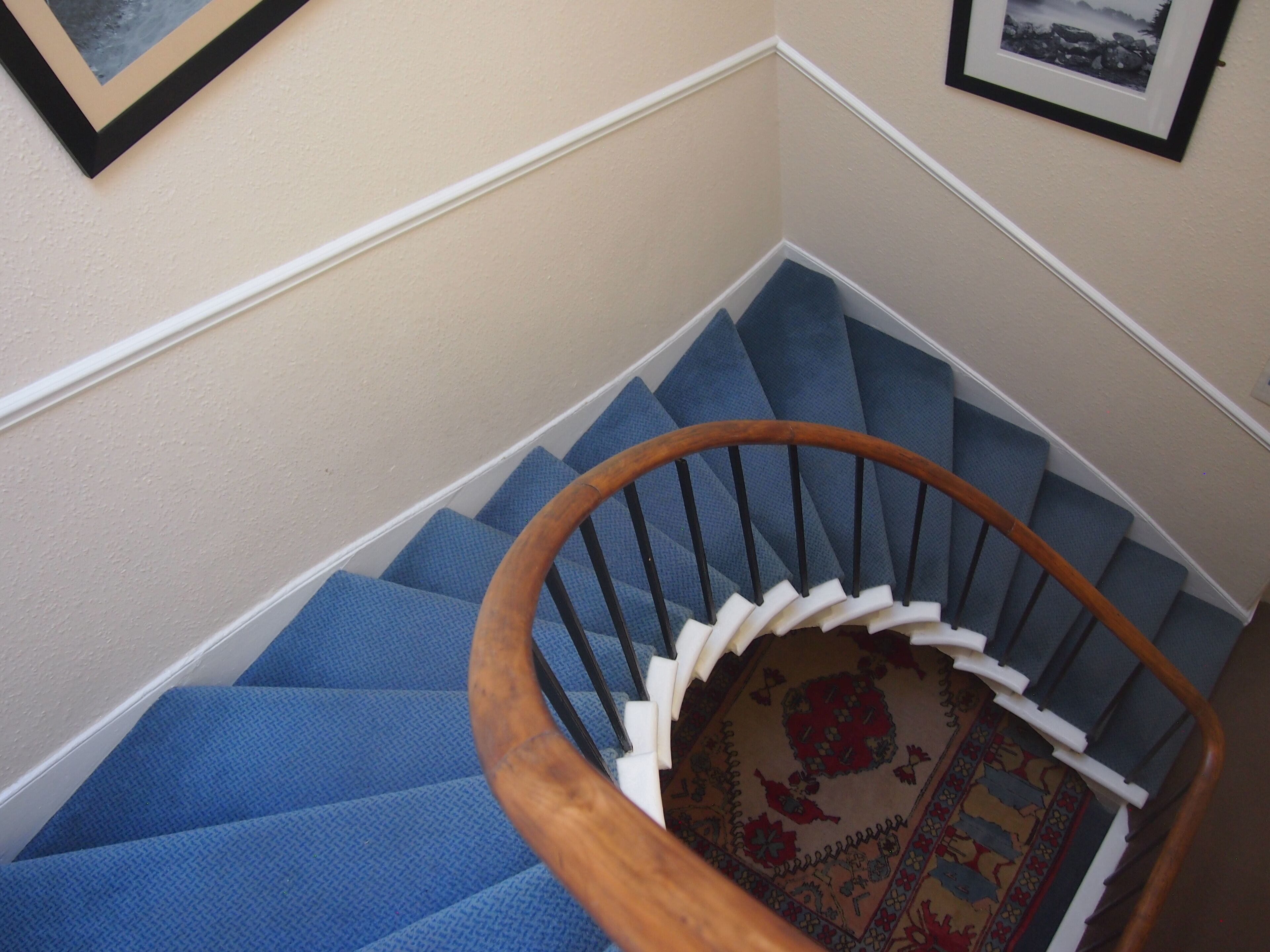A staircase with blue carpeted steps and a wooden handrail.