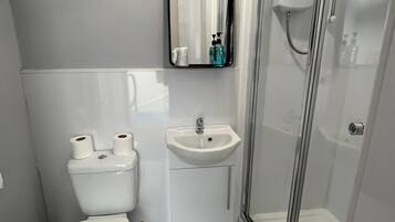 A compact bathroom with a toilet, sink, and glass shower enclosure.