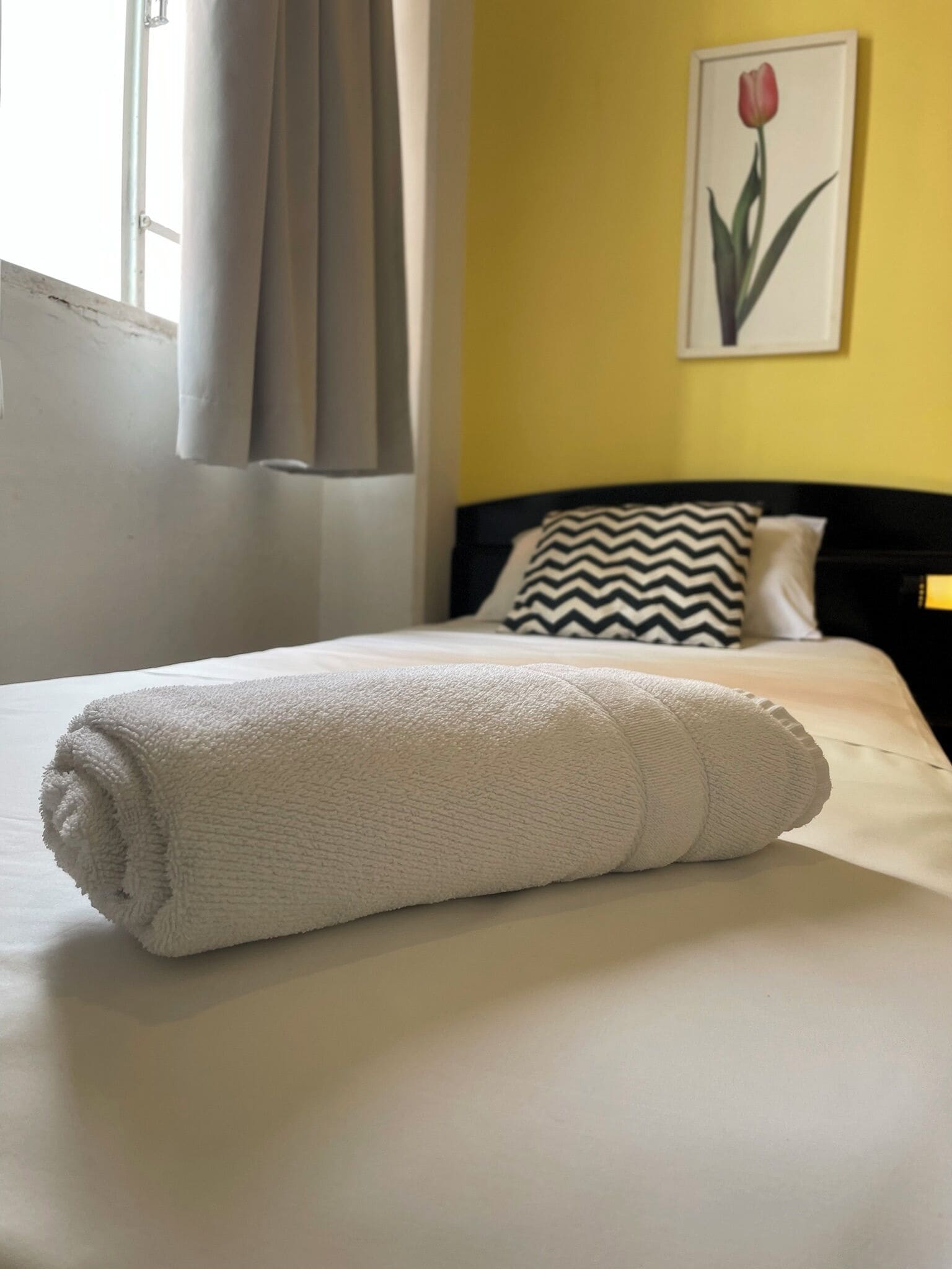 Foto - Hotel Blumenau Centro