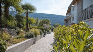 A paved pathway lined with various plants and a building with balconies.