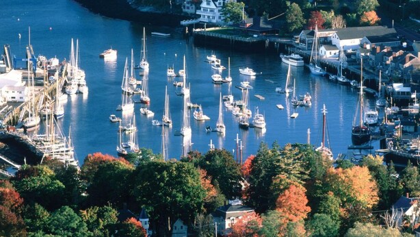 A marina with numerous boats docked, surrounded by trees and buildings. - Youngtown Inn & Restaurant (Lincolnville)