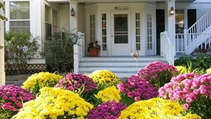 A white building with a porch, a staircase, and a flower bed with yellow and pink flowers. - Youngtown Inn & Restaurant (Lincolnville)