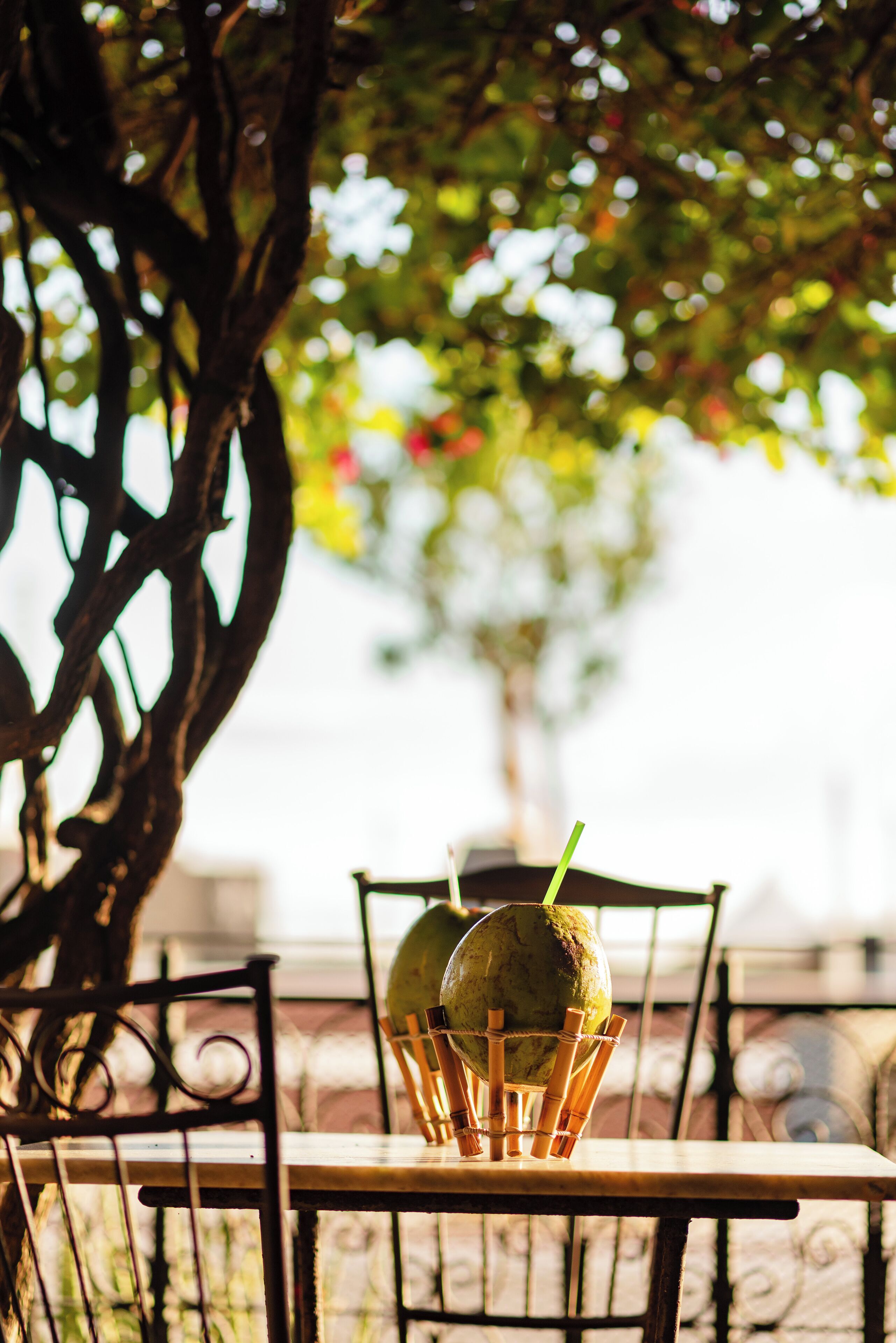 Foto - Fortmar Hotel