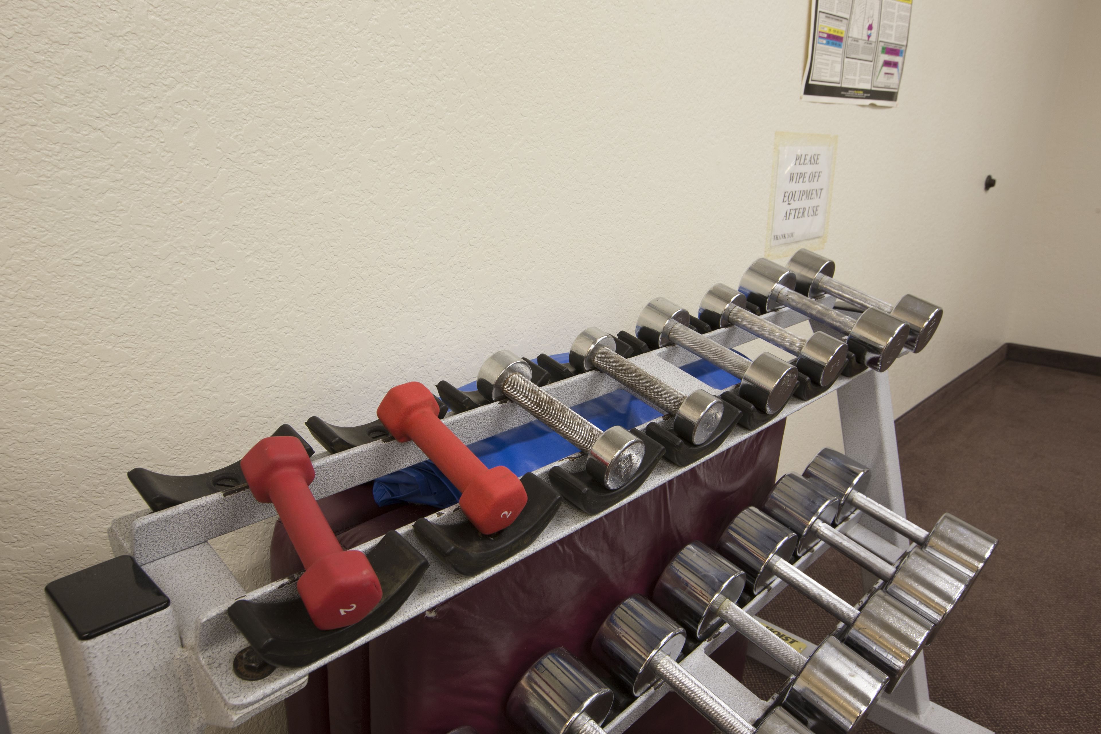 A weightlifting bench with various dumbbells and a red dumbbell.