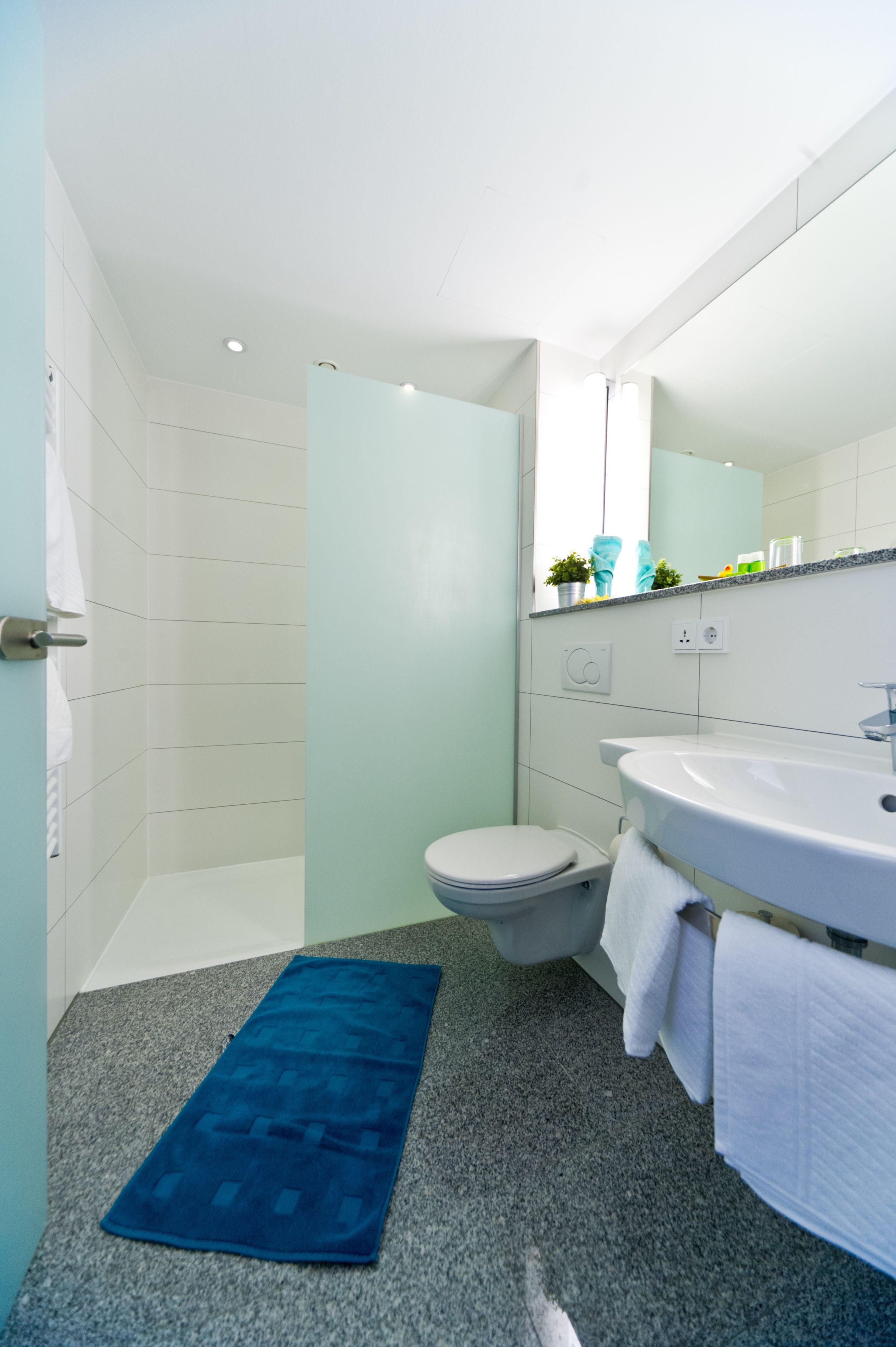 shower, hydromassage showerhead, designer toiletries, hair dryer