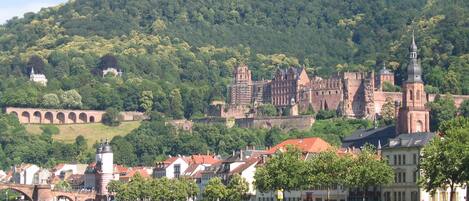 A riverside town with historic buildings, a bridge, and a castle on a hill.