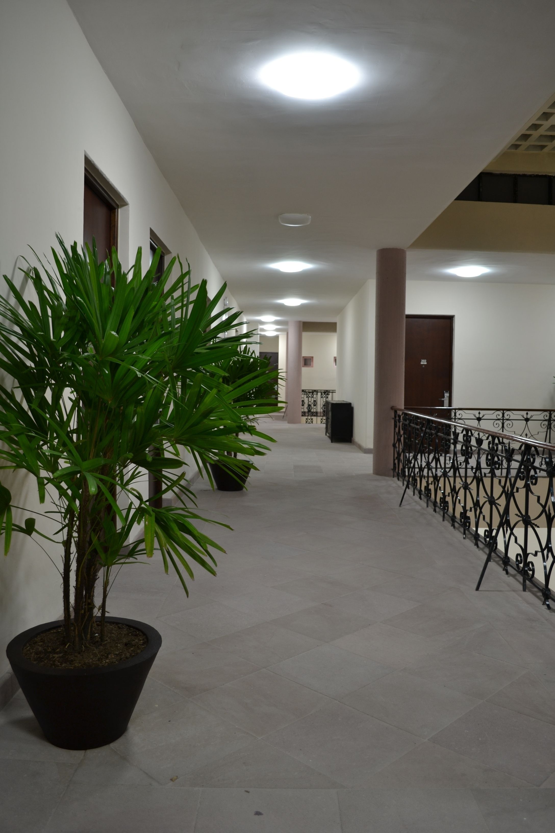 Foto - Hotel San Francisco