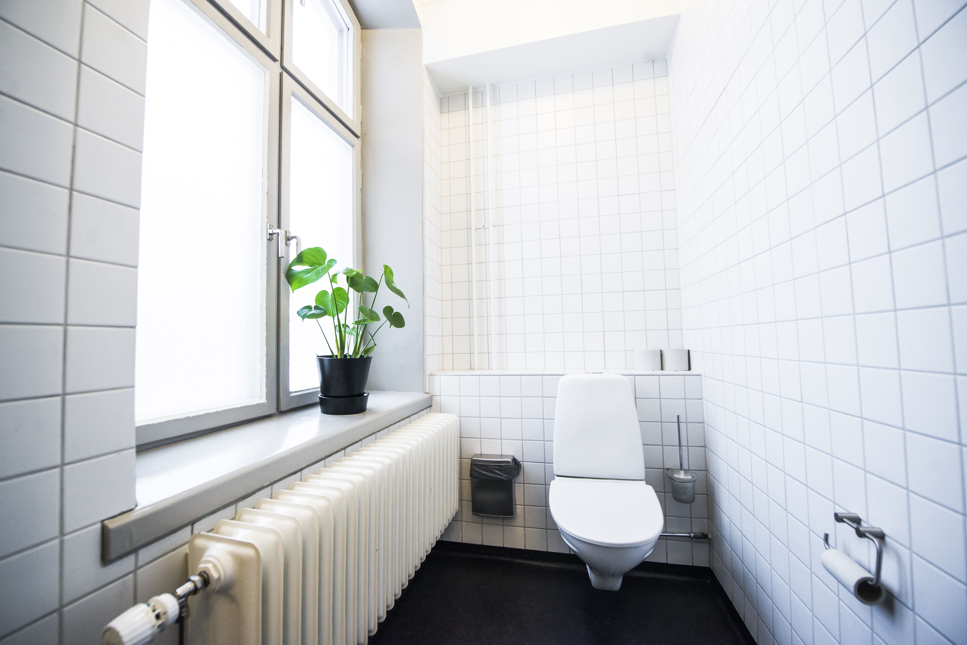 hair dryer, bathrobes, towels