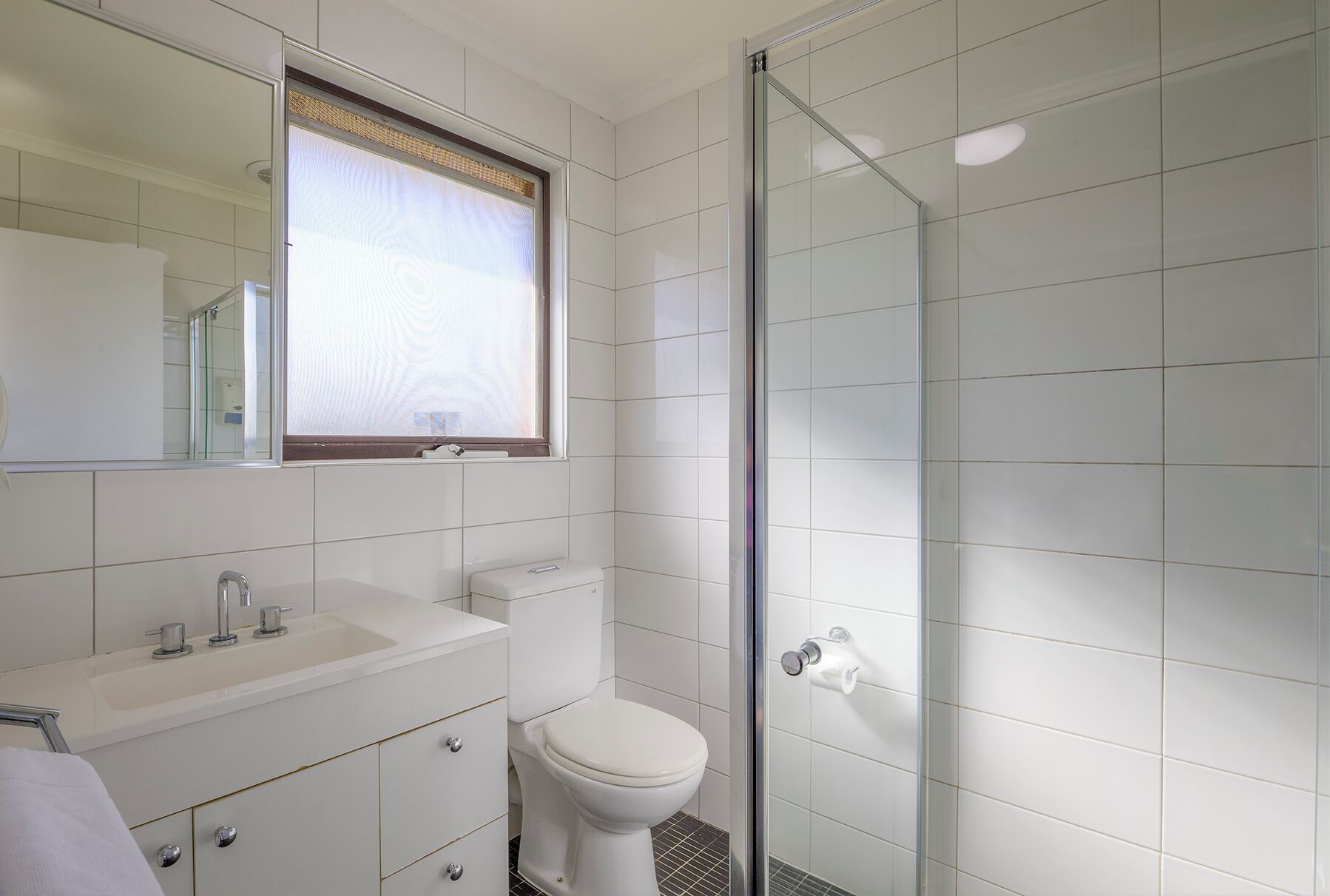 A bathroom with a glass shower enclosure, a toilet, a sink, and a mirror.