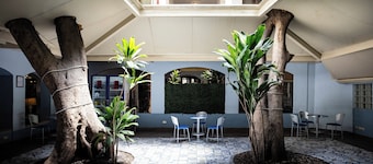 Hotel Suites Kino