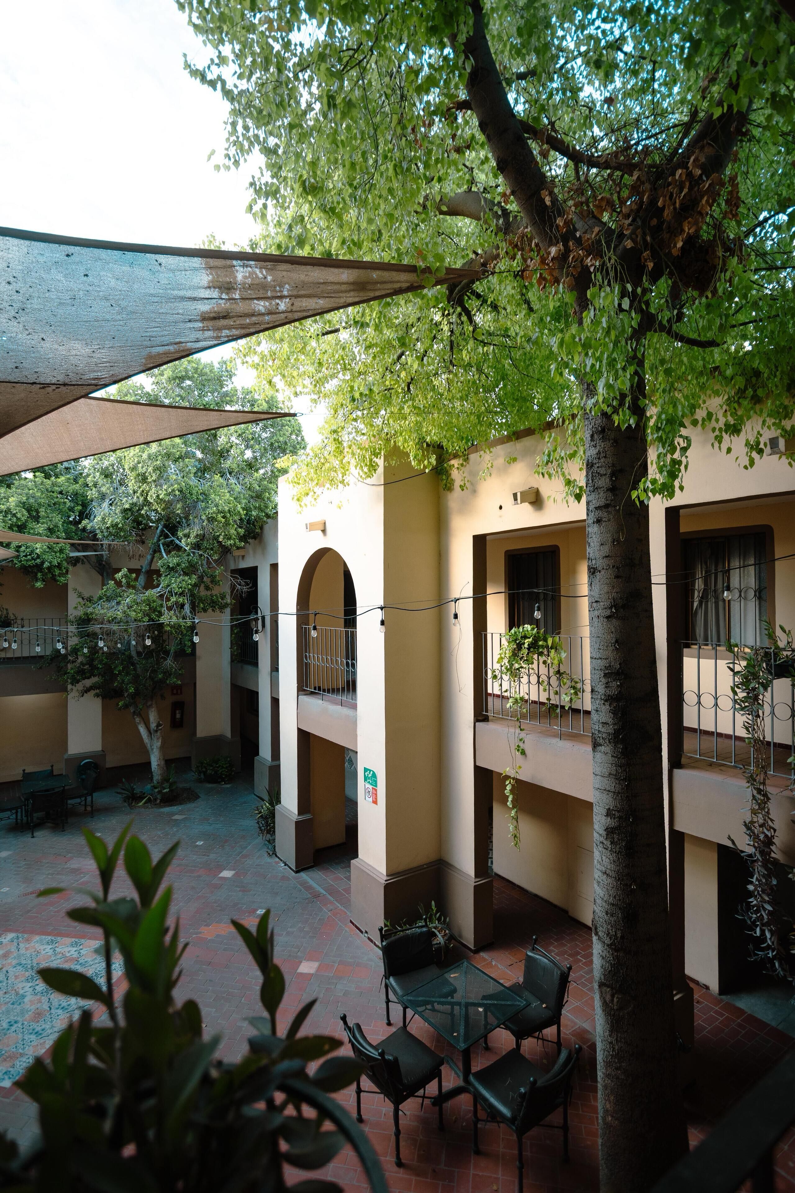 Foto - Hotel Suites Kino