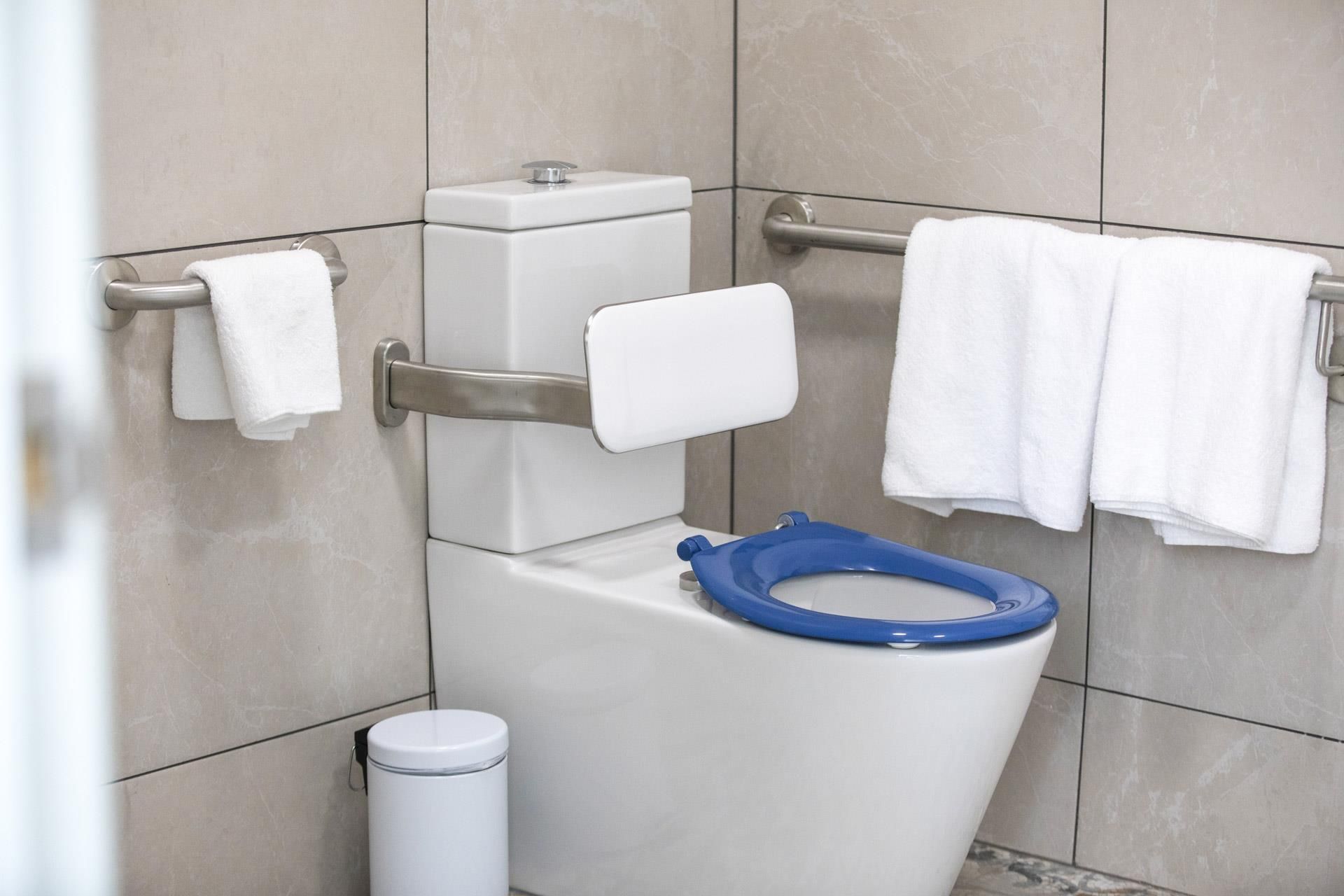 Un baño con inodoro, baranda y cubo de basura.