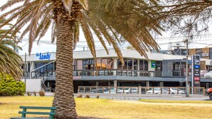 A building with a sign reading "The Sandy" and a palm tree in the foreground. - Nightcap at Sandringham Hotel (Sandringham)