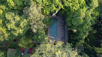 Outdoor pool, pool umbrellas, sun loungers