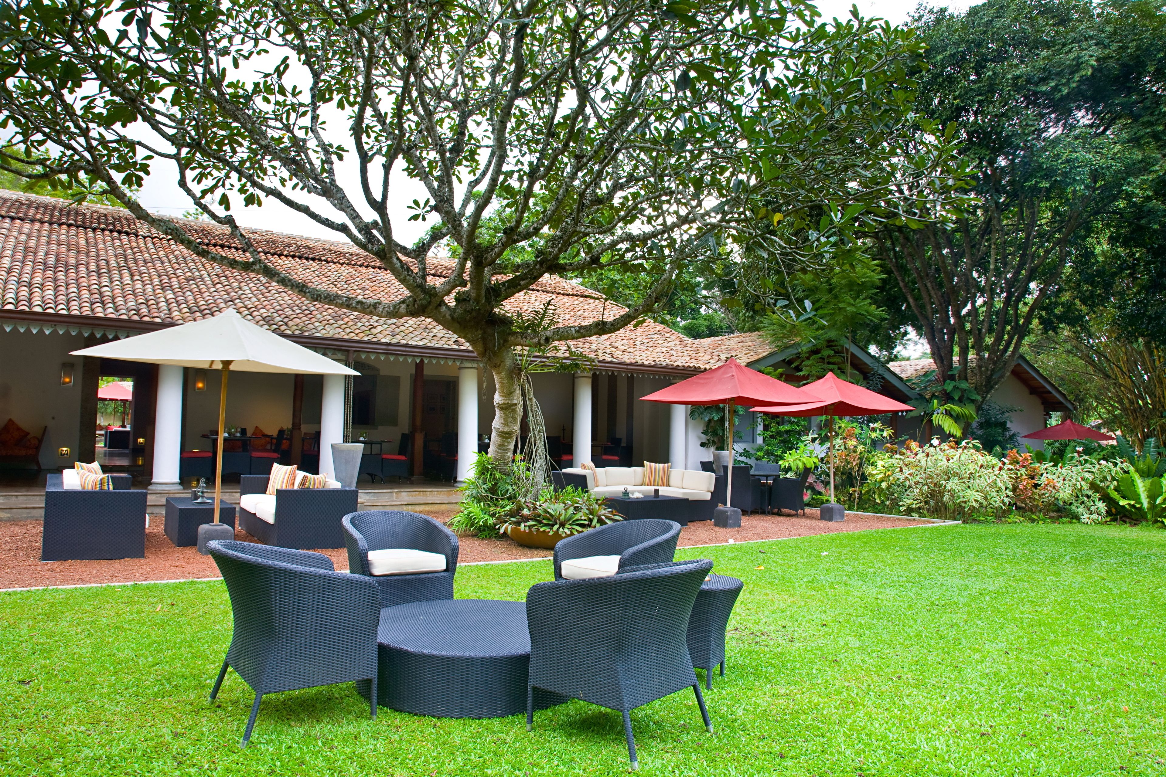 An outdoor seating area with wicker furniture, red umbrellas, and a well-maintained lawn.