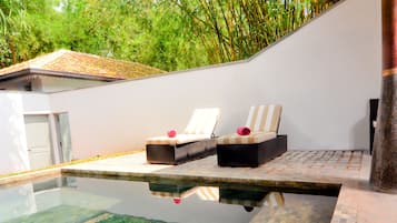 Outdoor pool, pool umbrellas, pool loungers