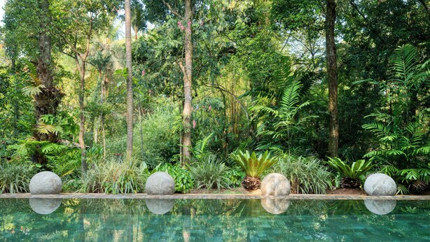 Una piscina con agua cristalina que refleja la exuberante vegetación y los árboles circundantes.