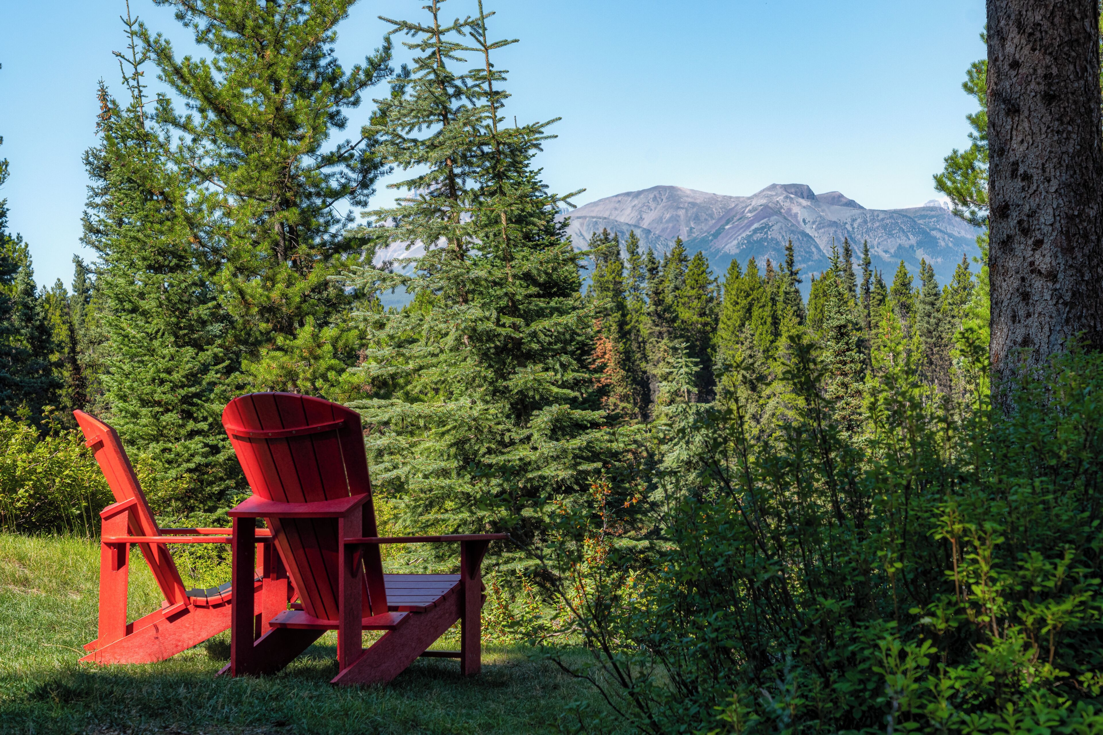 Une chaise Adirondack rouge, placée dans une zone boisée avec vue sur la montagne.