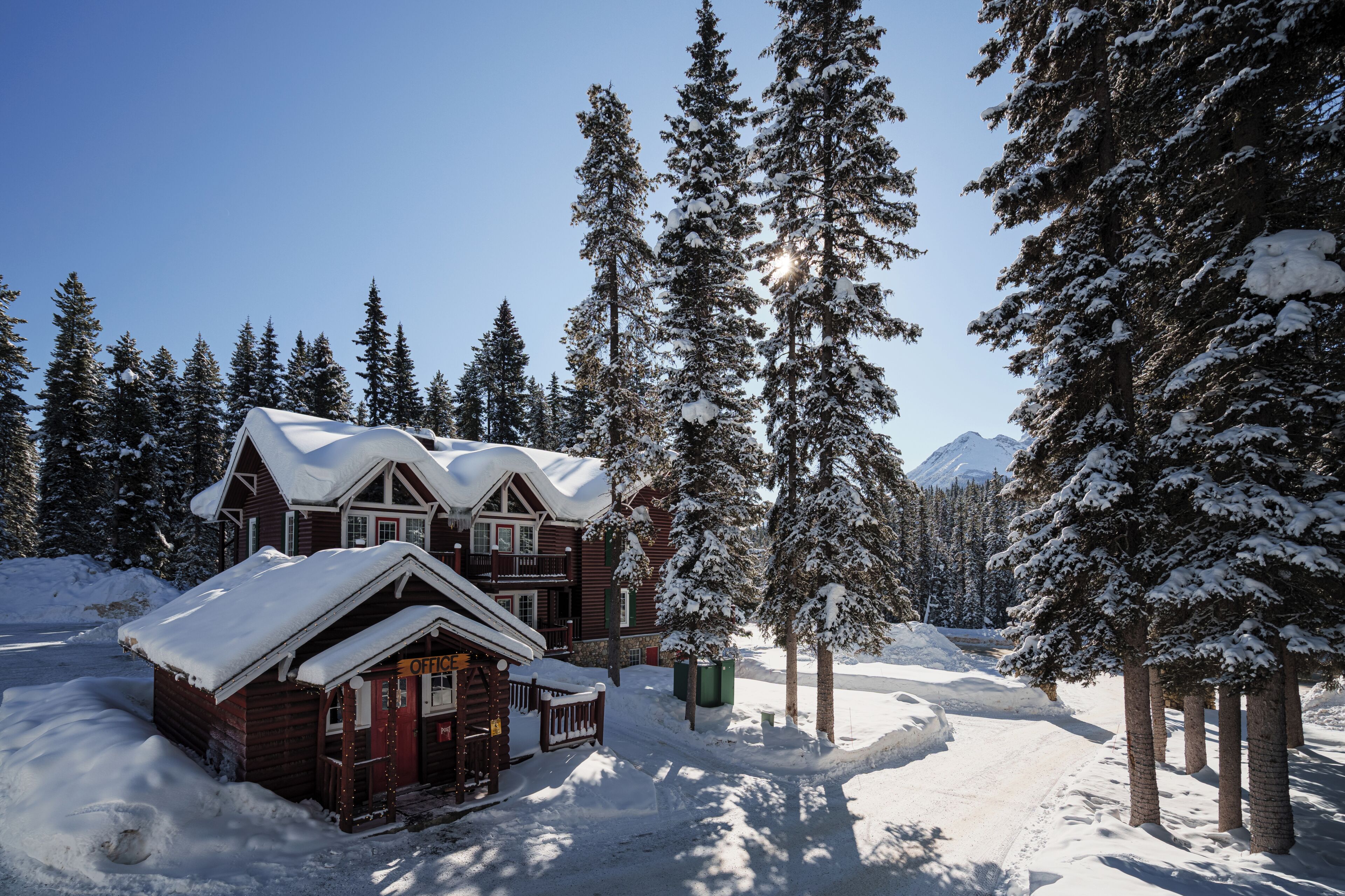 Een besneeuwde lodge met een houten gevel, omringd door hoge altijdgroene bomen en een berg op de achtergrond.