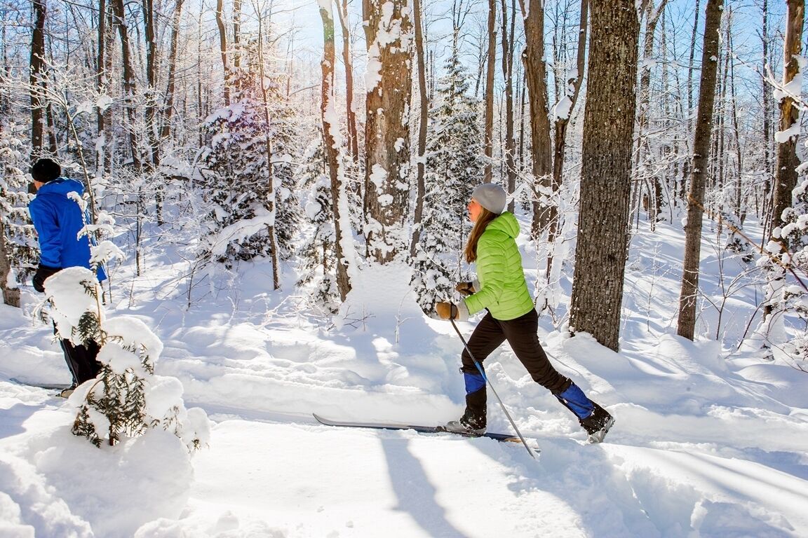 A snowy forest with two people skiing.