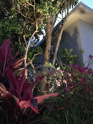 Jardín