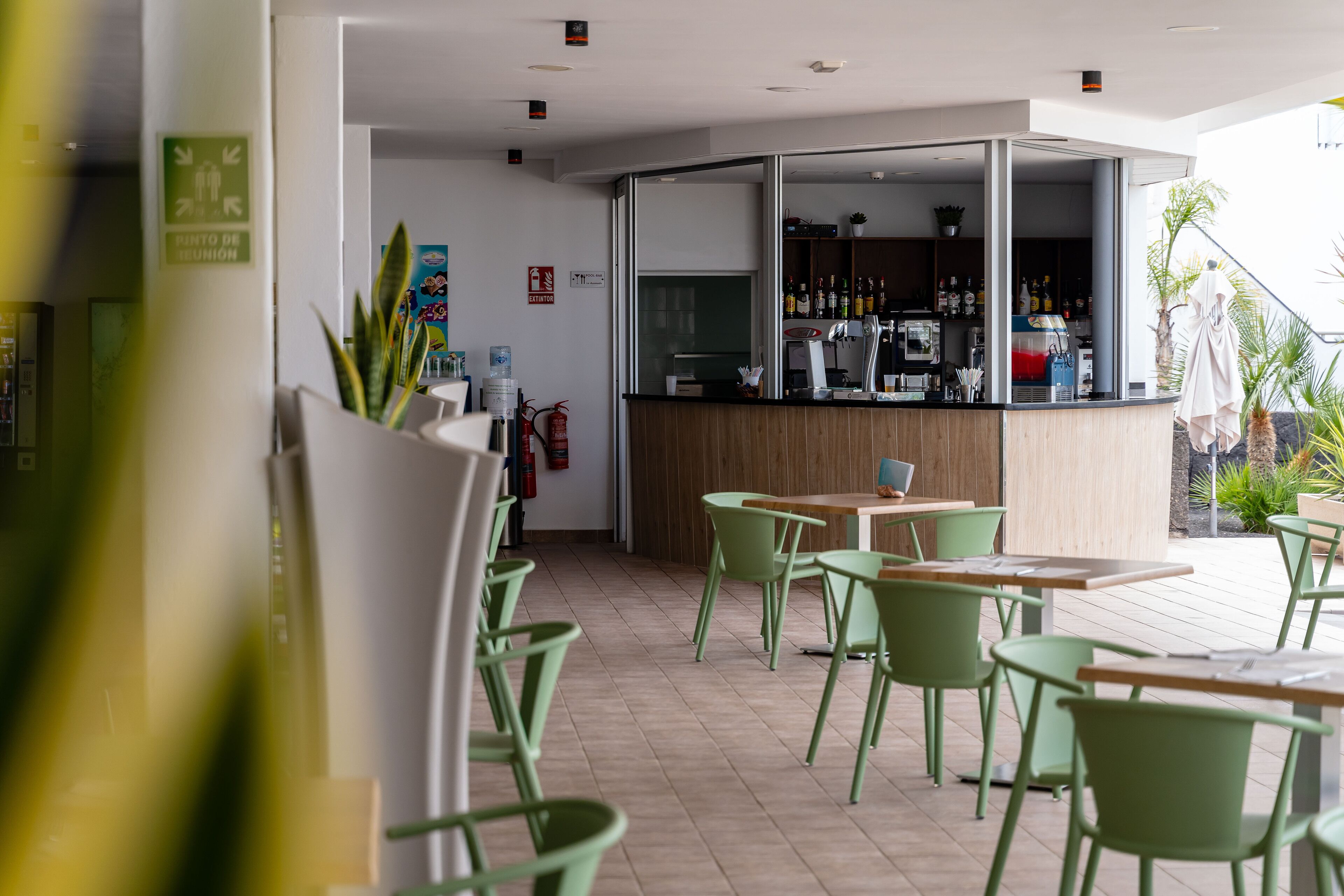 Un café moderno con sillas y mesas verdes, una barra de madera con una máquina de café y vistas al exterior.